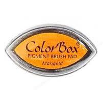 Color Box Calendula