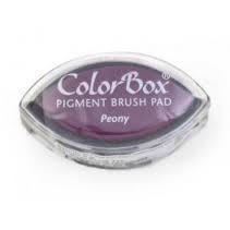 Color Box Peonia