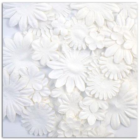 75 Flores Blancas